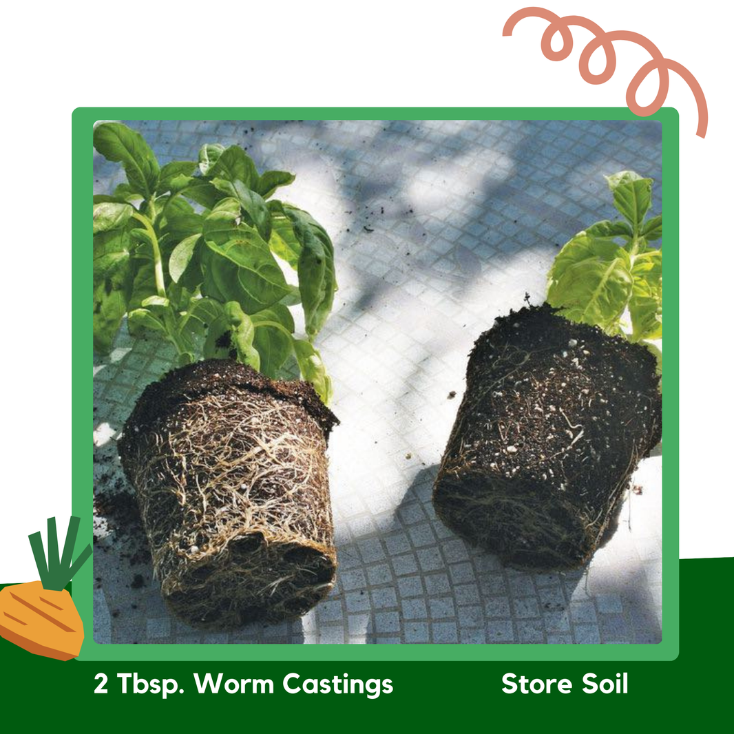worm castings for potted plants Organic Worm Castings – Premium Soil Amendment
