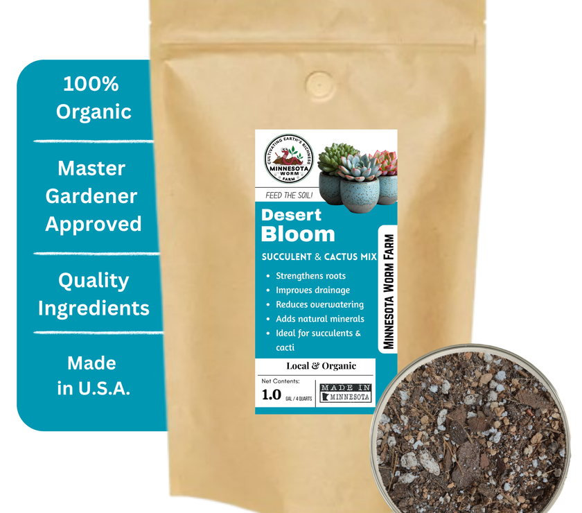 Desert Bloom Succulent & Cactus Mix