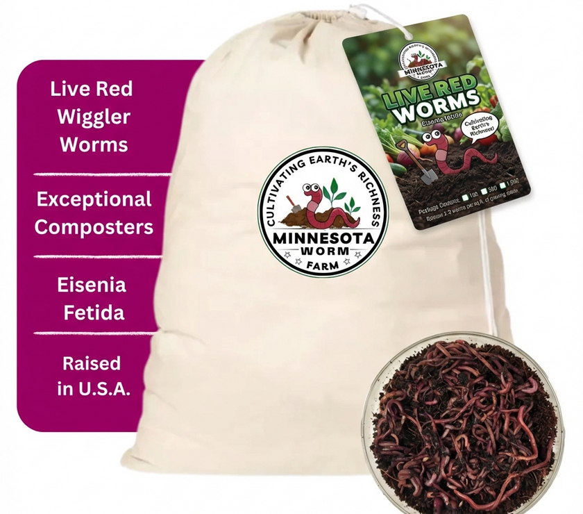 Red Wiggler Composting Worms – Eisenia Fetida for Vermicomposting