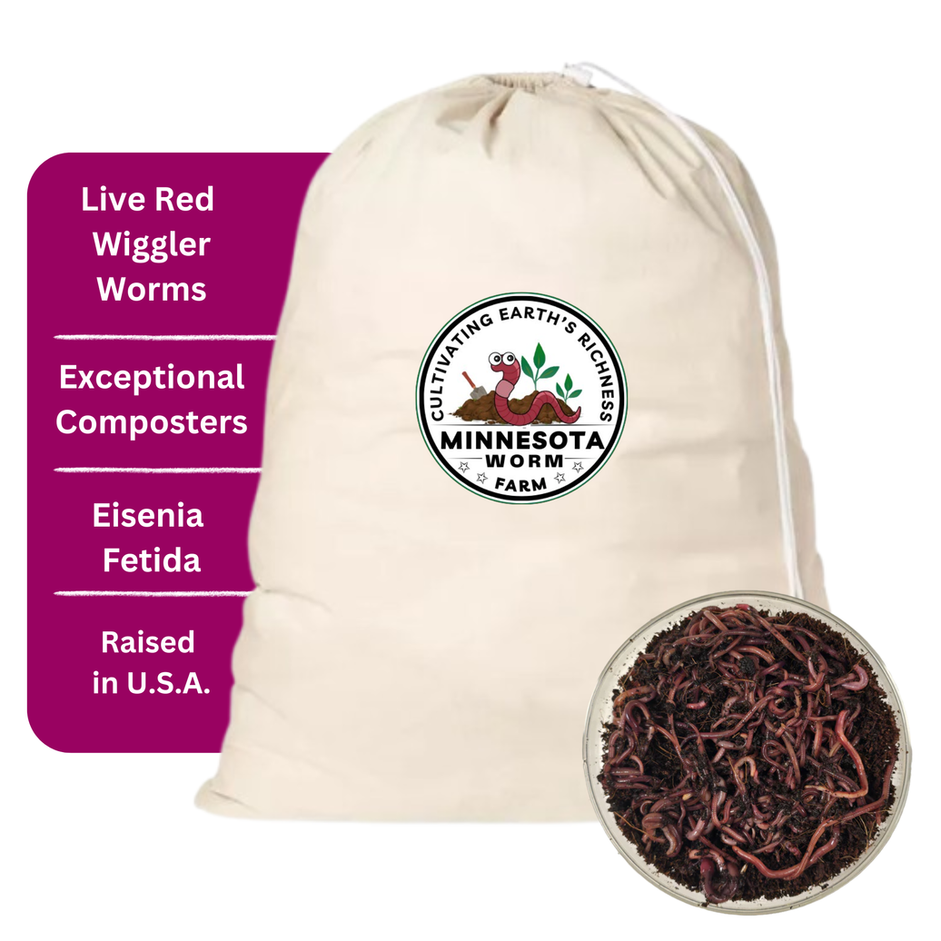 Composting Worms (Red Wigglers)