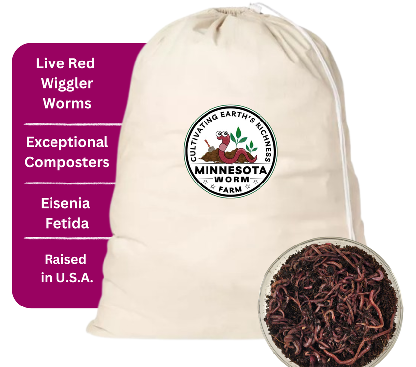 Composting Worms (Red Wigglers)