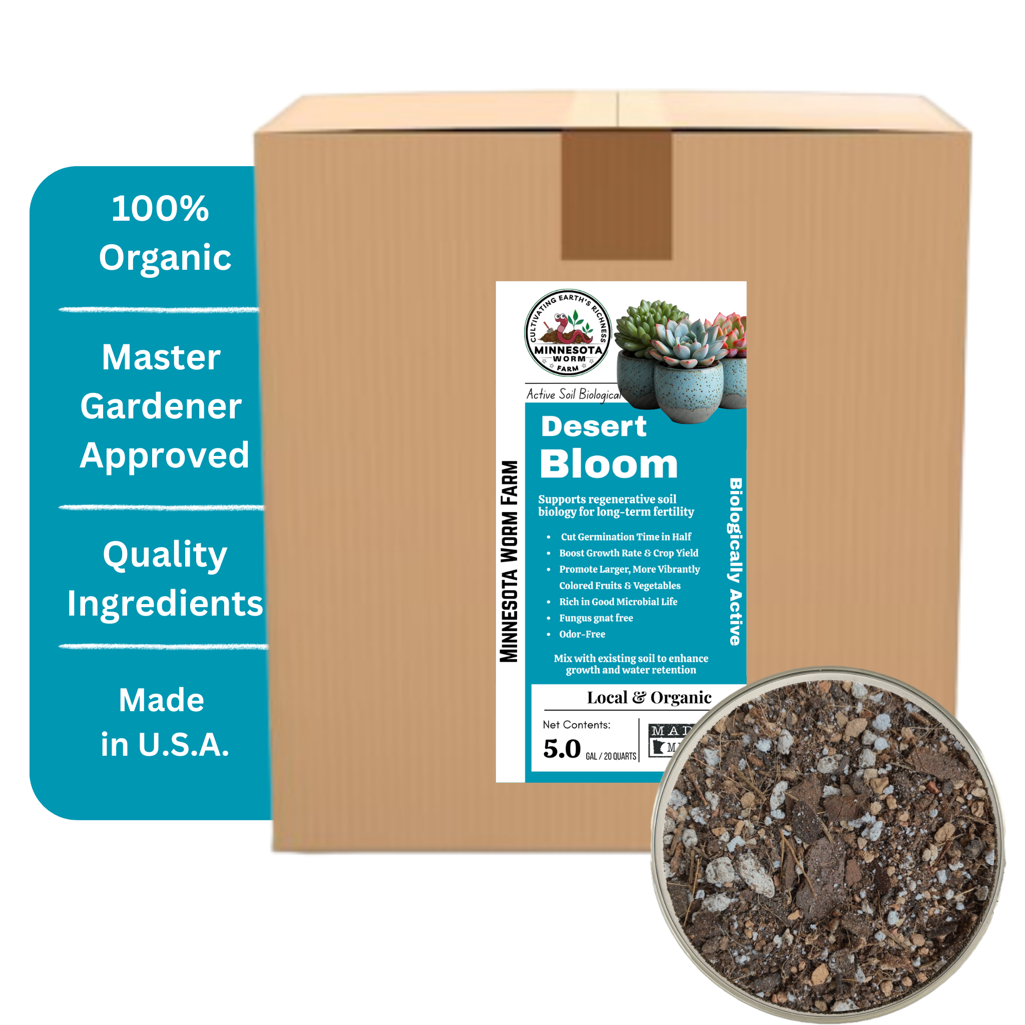 Desert Bloom Succulent & Cactus Mix