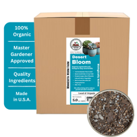 Desert Bloom Succulent & Cactus Mix